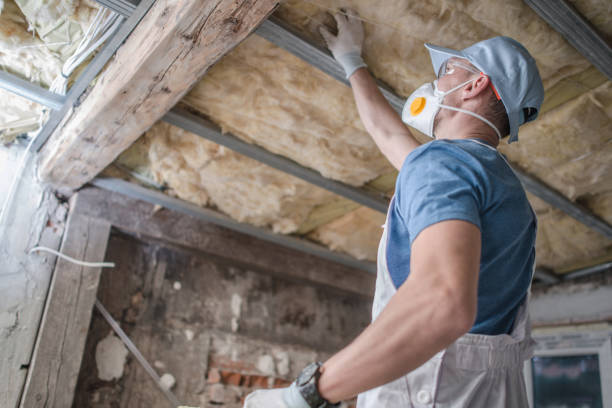 Best Insulation Installation Services in Owings, MD