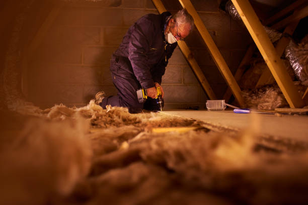 Best Insulation Installation Services in Owings, MD